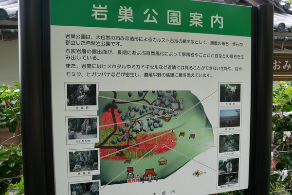 金生山明星輪寺の彼岸花が見頃に やまさんがくる 金生山明星輪寺の彼岸花が見頃に やまさんがくる