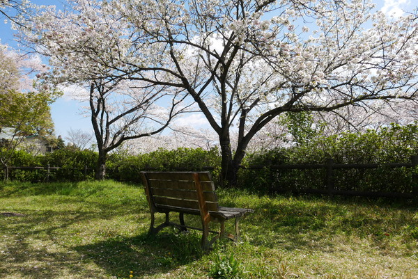 2CBF6094-B794-477D-9474-19B204C435B2
