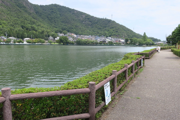 各務原市民のオアシス おがせ池 7月日は夏まつり花火大会 やまさんがくる