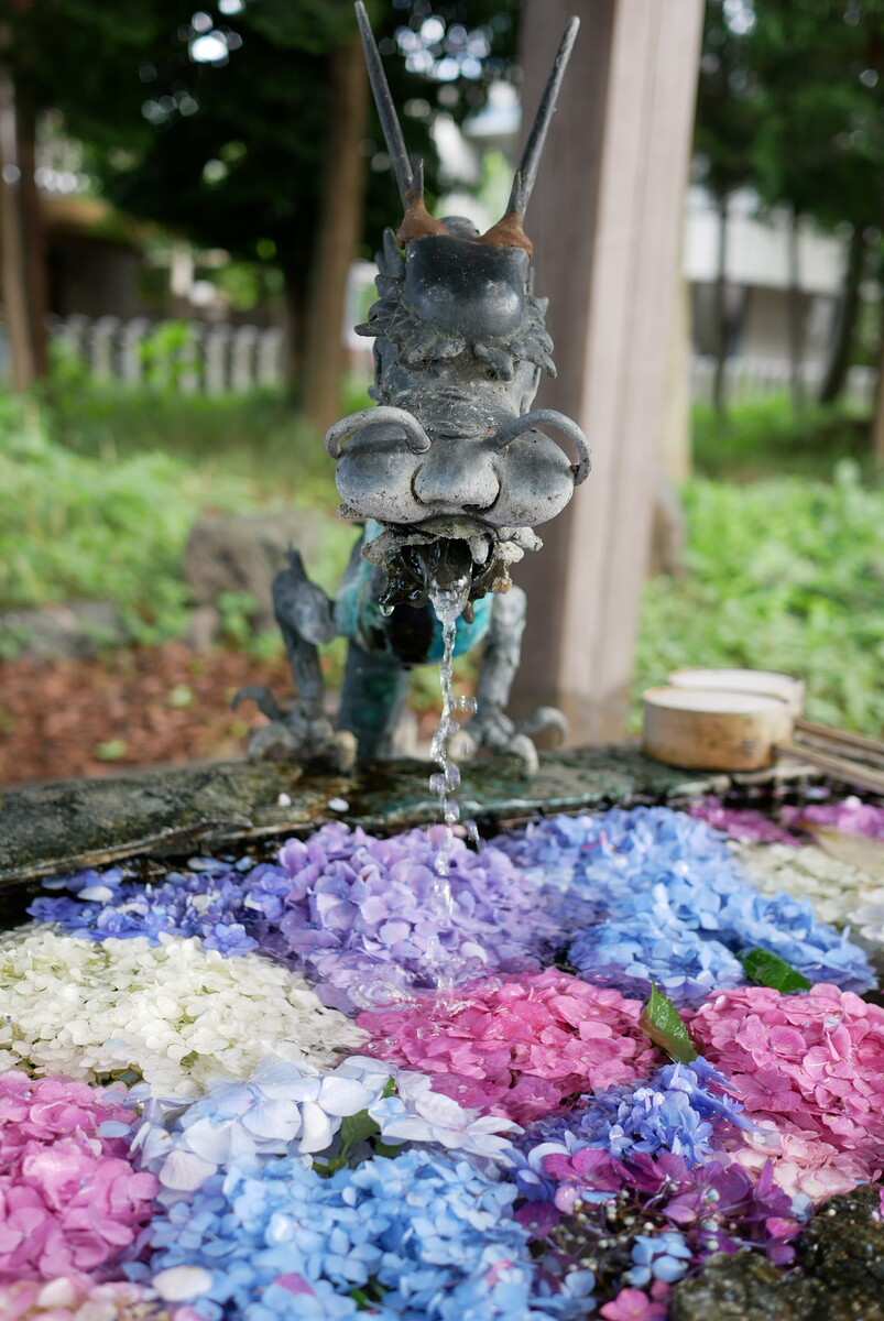 岐阜市にある若江神社の花手水舎 心洗われる やまさんがくる 岐阜市にある若江神社の花手水舎 心洗われる やまさんがくる