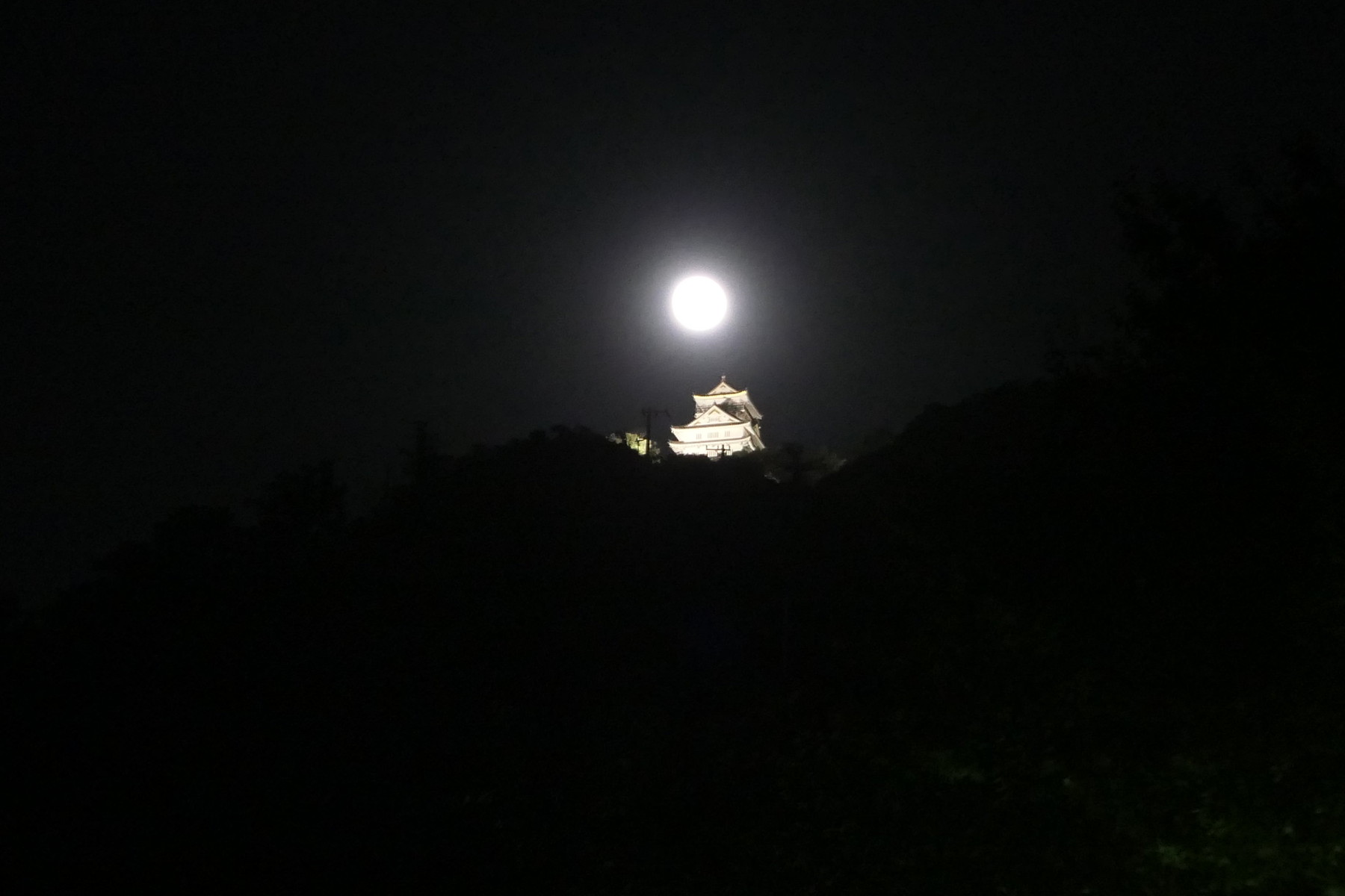 楽しかった日本百名月 岐阜城にのぼる月 の撮影 やまさんがくる