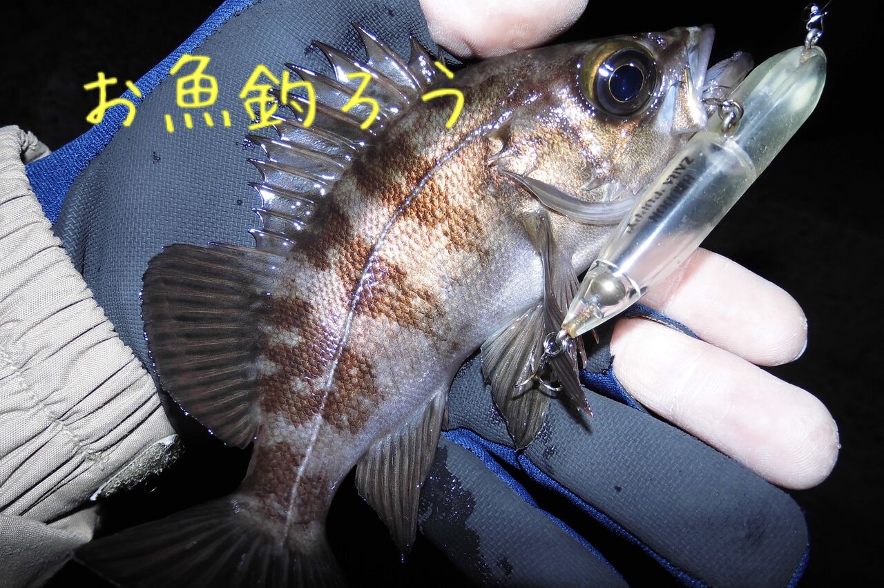 インプレって程じゃないけど…インクスレーベルのガリンペイロを インプレって程じゃないけど…インクスレーベルのガリンペイロを