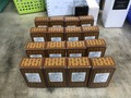 img (23704)