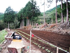 DSCF0443