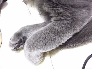 20180119_01
