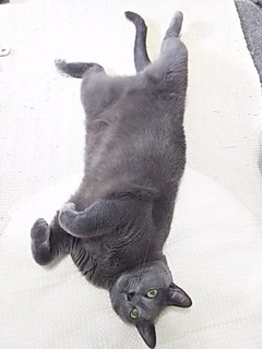 20160630_01