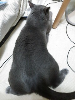 20150930_01