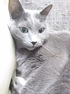 20180501_01