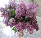 lilas