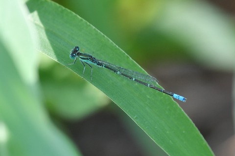 DSC_9230_20190818_090020