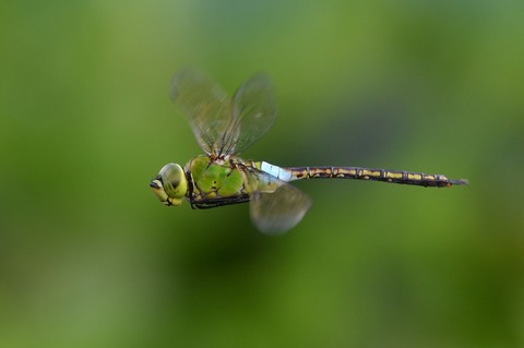DSC_0066_20190907_095706