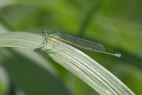 DSC_4750_20190526_083037