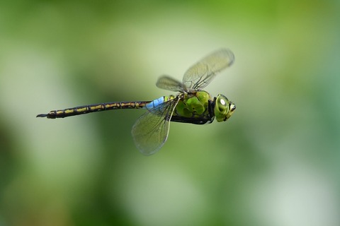 DSC_9929_20190907_092919