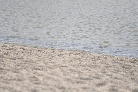 DSC_9028_20190816_150020