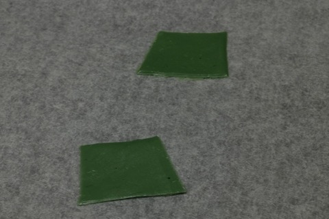 DSCF9704