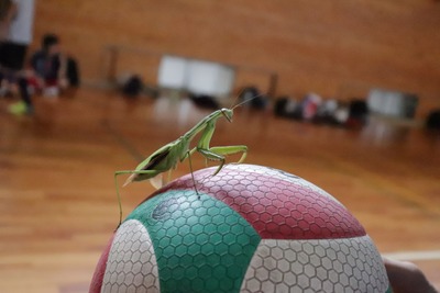 一日目_191008_0122