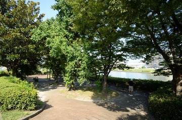 s-NDF_1790