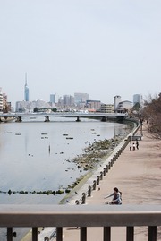 2012_04020018