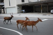 DSC_0190_3192
