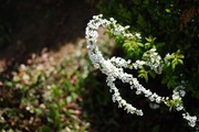 s-2013_04010011