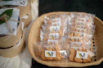 NDF_2478