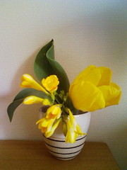 �ߤĤФ����å�