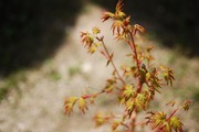 s-2013_04010010