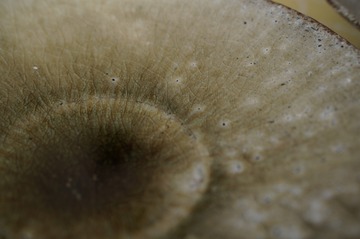 DSC02303