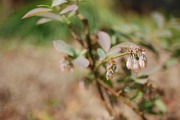 s-2013_04010007