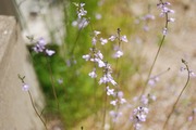 s-2013_04010002