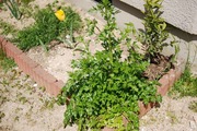 s-2013_04010004