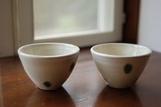 2012_11300101