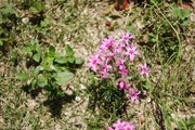 s-2013_04010009