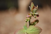s-2013_04010008