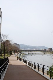2012_04020029