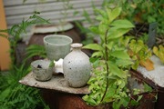 松宮さんの自然 工房