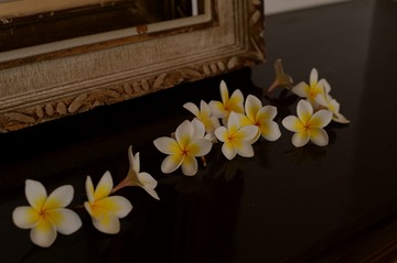 s-NDF_0489
