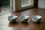 NDF_4730_16065