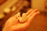 箸置き 小鳥2