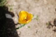 s-2013_04010005
