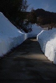 雪廊2014