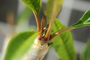 s-DSC_0001_9302