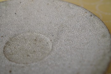 DSC02302