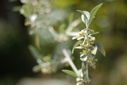 s-2013_04010012