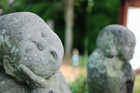 ����¢����