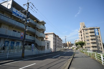 s-NDF_1791