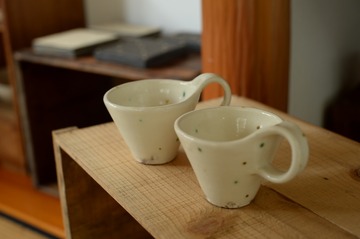 NDF_2729_22031