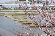 2012_04020016