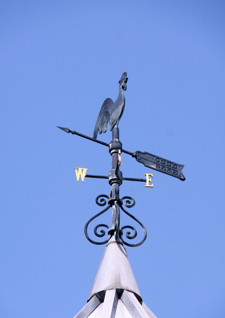 3月ぶひ会のお知らせ(外海を歩く①)