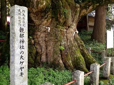 イメージ 6